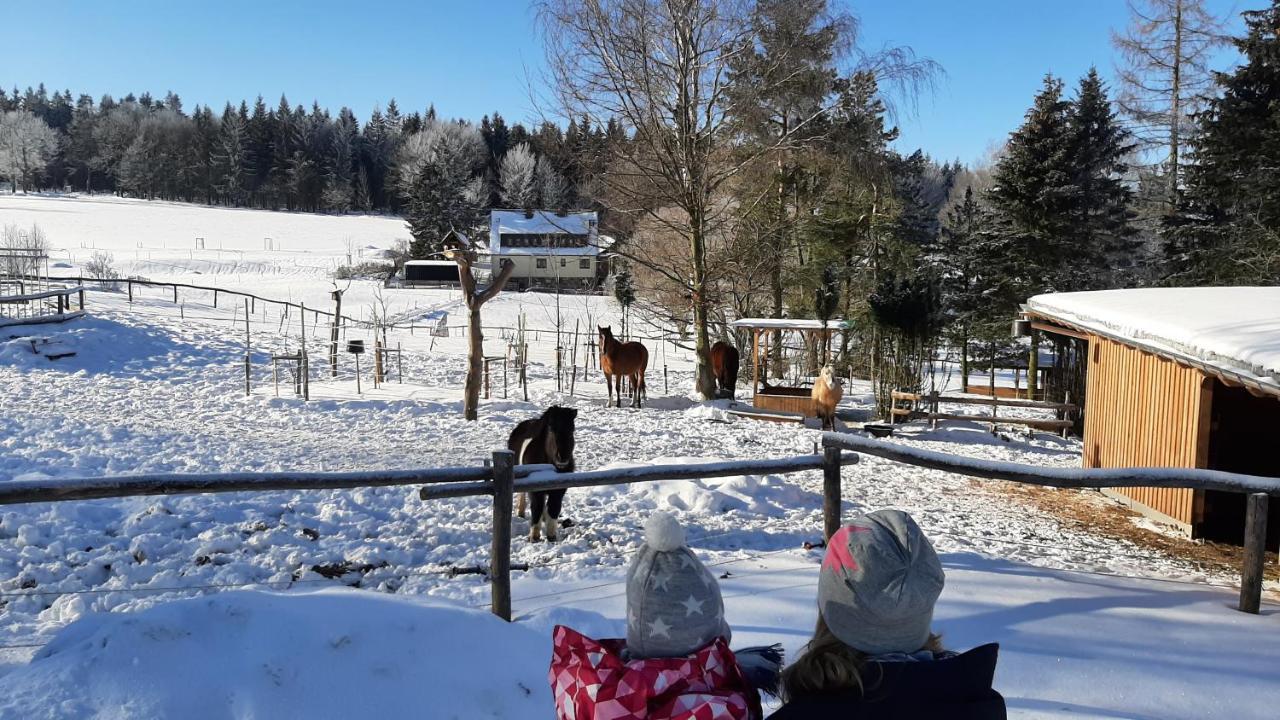 "Sporthuetten Nassau" Ihr Zentrales Domizil An Der Blockline Rechenberg-Bienenmühle Kültér fotó